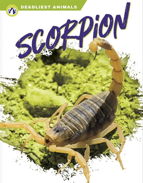 Scorpion (Paperback)