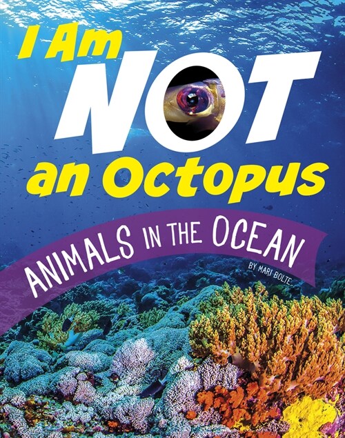 I Am Not an Octopus: Animals in the Ocean (Paperback)