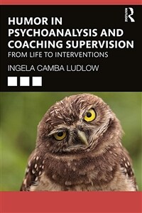 Humour in Psychoanalysis and Coaching Supervision : From Life to Interventions (Paperback)