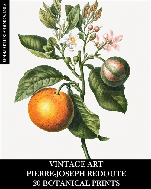Vintage Art: Pierre-Joseph Redoute: 20 Botanical Prints (Paperback)