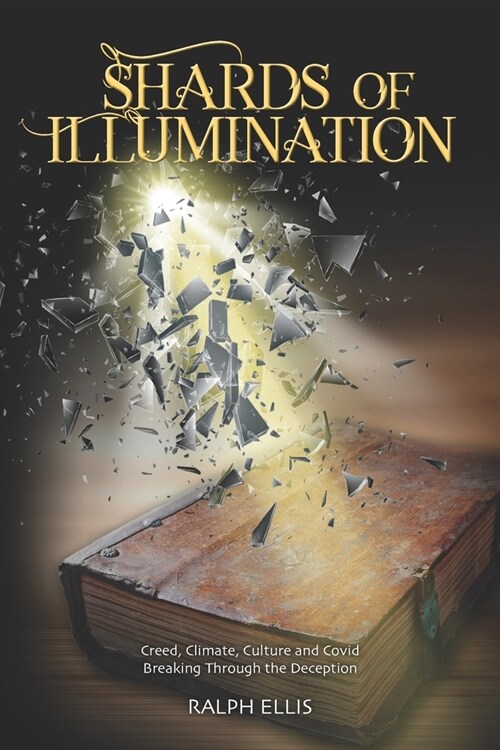 Shards of Illumination: Breaking through the Deception (Paperback)