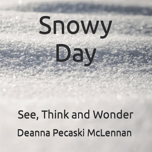Snowy Day: See, Think and Wonder (Paperback)