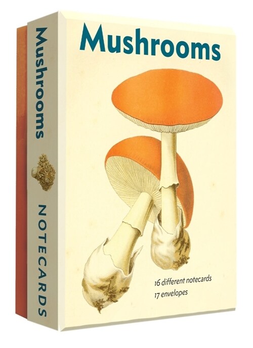 Mushrooms: An Abbeville Notecard Set (Other)