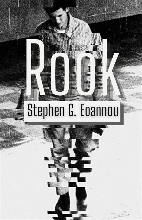 Rook (Paperback)