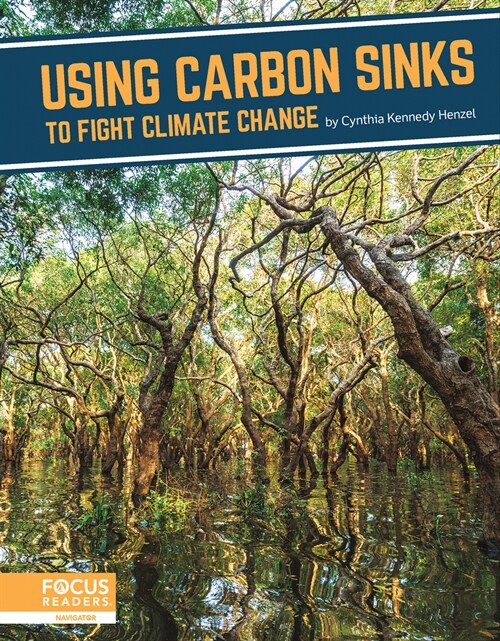 Using Carbon Sinks to Fight Climate Change (Paperback)