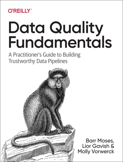 Data Quality Fundamentals: A Practitioners Guide to Building Trustworthy Data Pipelines (Paperback)