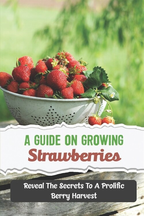 A Guide On Growing Strawberries: Reveal The Secrets To A Prolific Berry Harvest (Paperback)