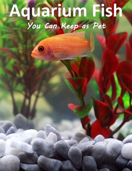 Aquarium Fish You Can Keep As Pets: A List Of Crazy, Exotic Fish To Keep As Pets (Paperback)