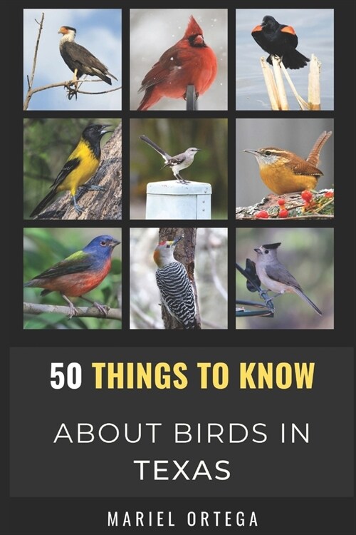 50 Things to Know About Birds in Texas: Birding in the Texas (Paperback)
