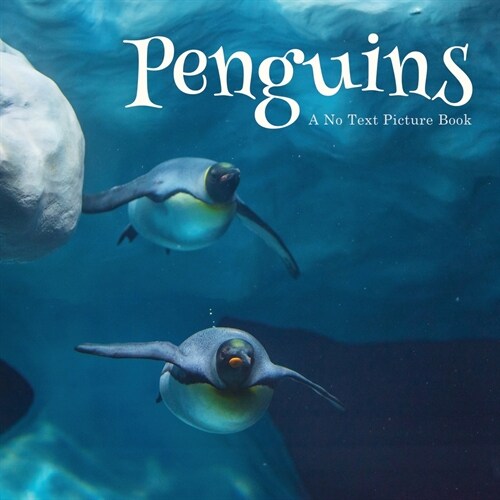Penguins, A No Text Picture Book: A Calming Gift for Alzheimer Patients and Senior Citizens Living With Dementia (Paperback)