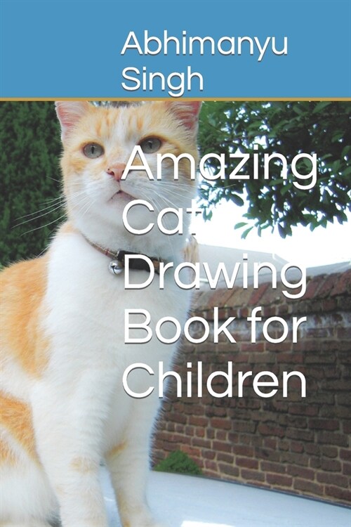 Amazing Cat Drawing Book for Children (Paperback)