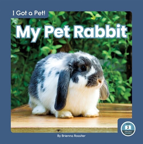 My Pet Rabbit (Paperback)