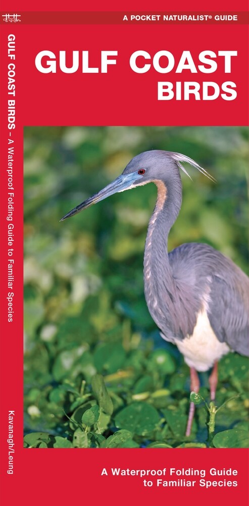 Gulf Coast Birds: A Waterproof Folding Guide to Familiar Species (Paperback, 2)