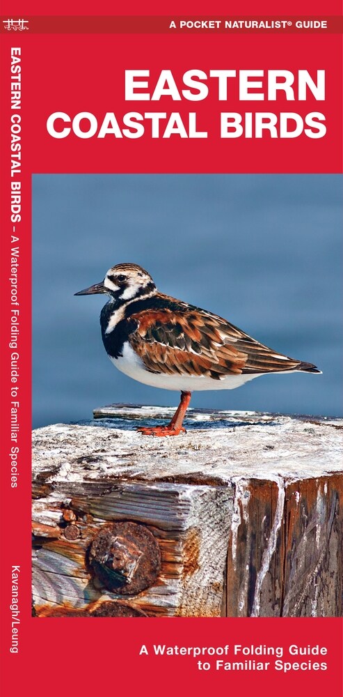 Eastern Coastal Birds: A Waterproof Folding Guide to Familiar Species (Paperback, 2)