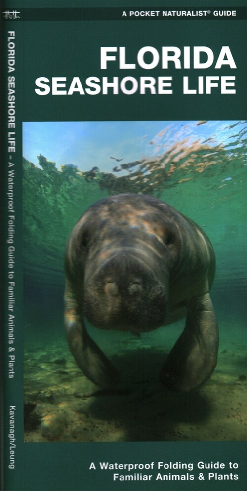 Florida Seashore Life: A Waterproof Folding Guide to Familiar Animals & Plants (Paperback, 2)