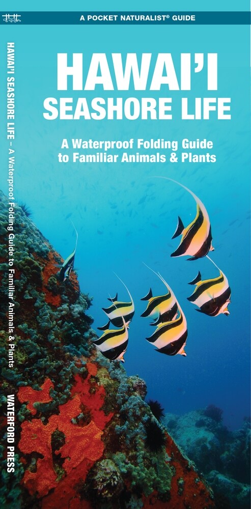 Hawaii Seashore Life: A Folding Pocket Guide to Familiar Animals & Plants (Paperback, 2)