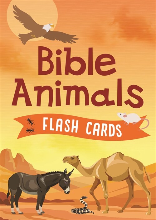 Bible Animals Flash Cards (Other)