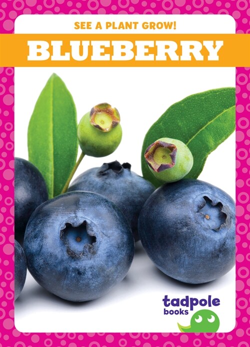 Blueberry (Library Binding)