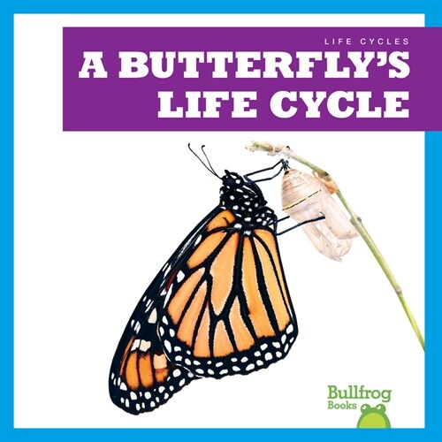 A Butterflys Life Cycle (Paperback)