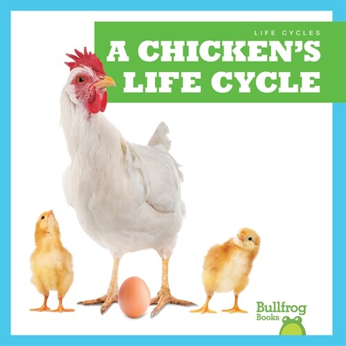 A Chickens Life Cycle (Paperback)