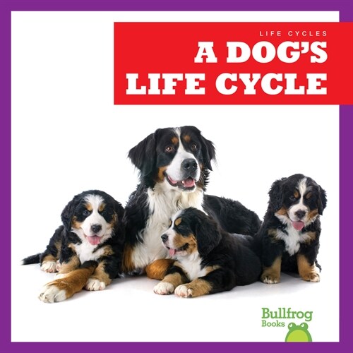 A Dogs Life Cycle (Library Binding)