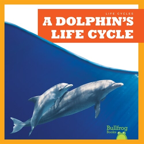 A Dolphins Life Cycle (Paperback)