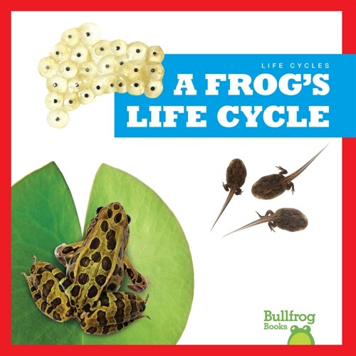 A Frogs Life Cycle (Paperback)