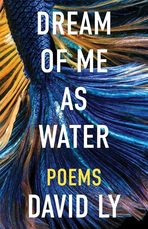 Dream of Me as Water (Paperback)