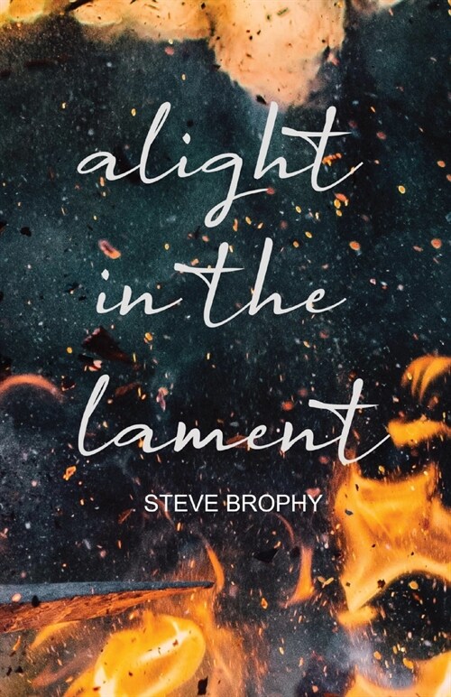 alight in the lament (Paperback)