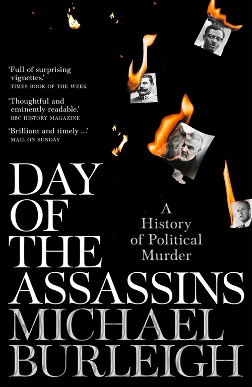 Day of the Assassins : A History of Political Murder (Paperback)