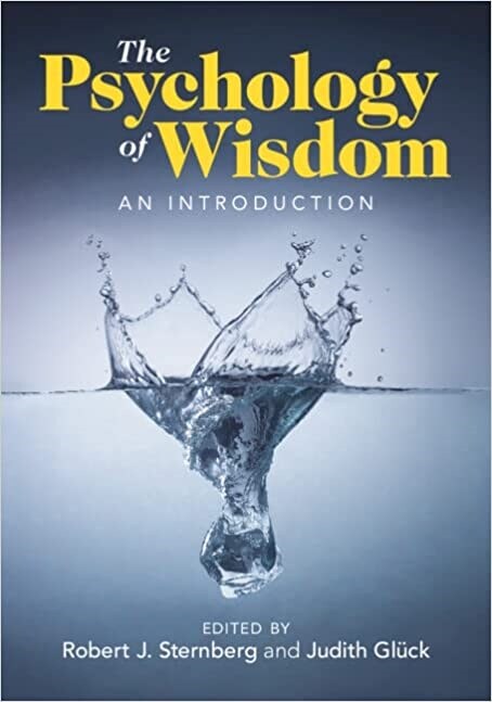 The Psychology of Wisdom : An Introduction (Paperback, New ed)