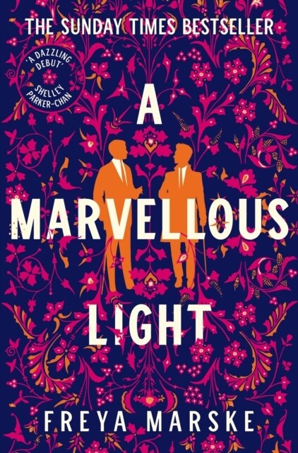 A Marvellous Light : a dazzling, queer romantic fantasy (Paperback)