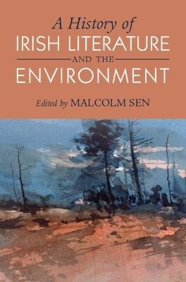 A History of Irish Literature and the Environment (Hardcover, New ed)