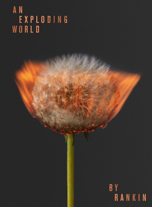 An Exploding World (Hardcover)