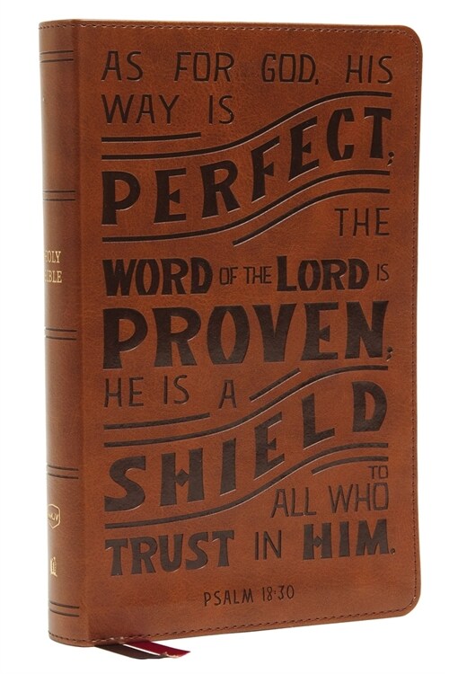 Nkjv, Personal Size Reference Bible, Verse Art Cover Collection, Leathersoft, Tan, Red Letter, Thumb Indexed, Comfort Print: Holy Bible, New King Jame (Imitation Leather)