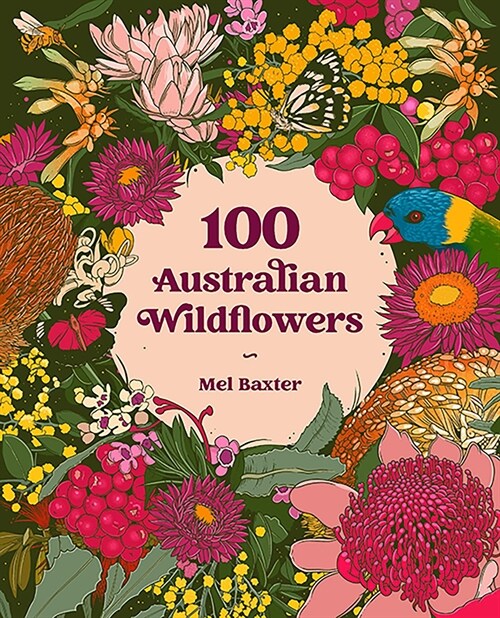100 Australian Wildflowers (Paperback)