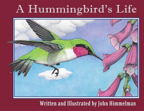 A Hummingbirds Life (Paperback)