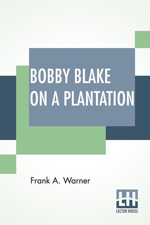 Bobby Blake On A Plantation: Or Lost In The Great Swamp (Paperback)