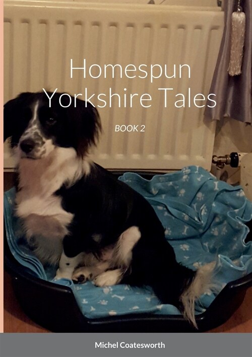 Homespun Yorkshire Tales: Book 2 (Paperback)