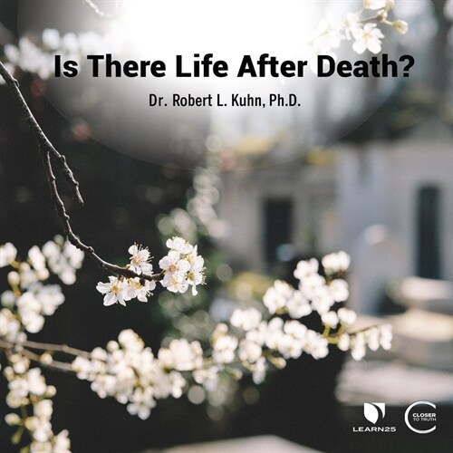 Is There Life After Death? (MP3 CD)