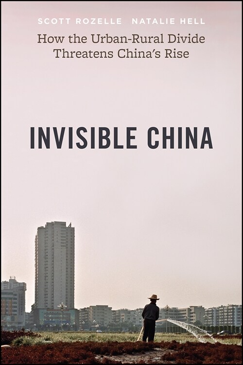 Invisible China: How the Urban-Rural Divide Threatens Chinas Rise (Paperback)