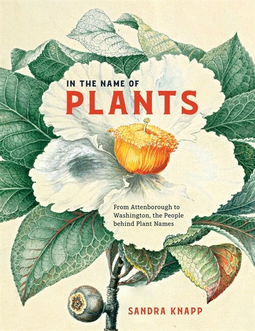 In the Name of Plants: From Attenborough to Washington, the People Behind Plant Names (Hardcover)