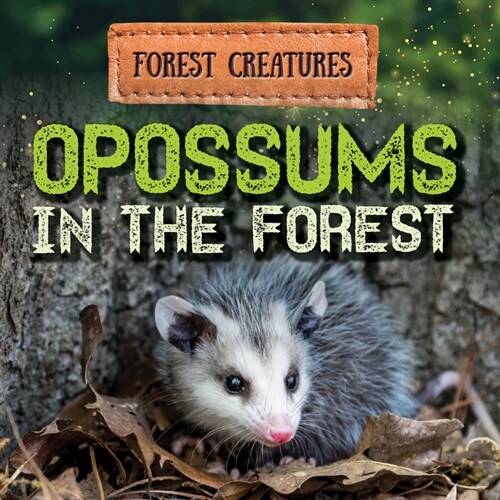 Opossums in the Forest (Library Binding)