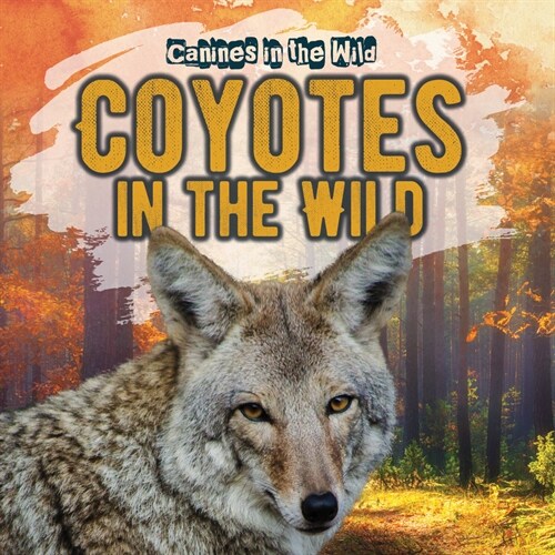 Coyotes in the Wild (Paperback)
