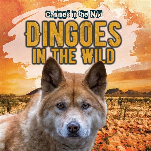 Dingoes in the Wild (Paperback)