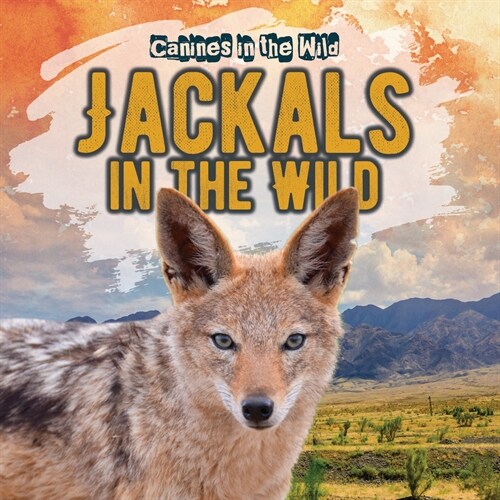 Jackals in the Wild (Library Binding)