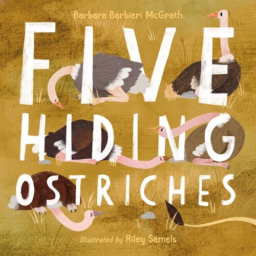 Five Hiding Ostriches (Hardcover)