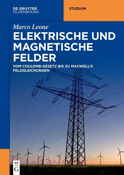 Elektrische und magnetische Felder (Paperback)