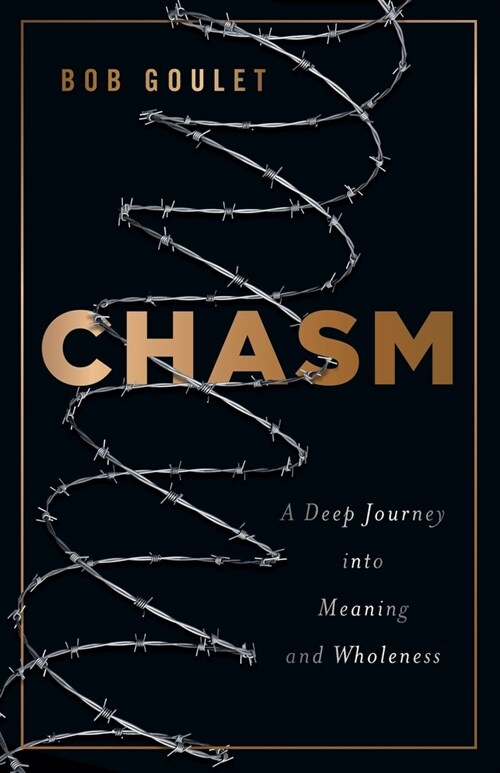 Chasm: A Deep Journey into Meaning and Wholeness (Paperback)