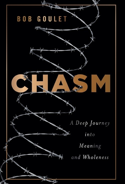Chasm: A Deep Journey into Meaning and Wholeness (Hardcover)